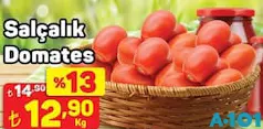 SALÇALIK DOMATES KG fiyat ve kampanya bilgisi